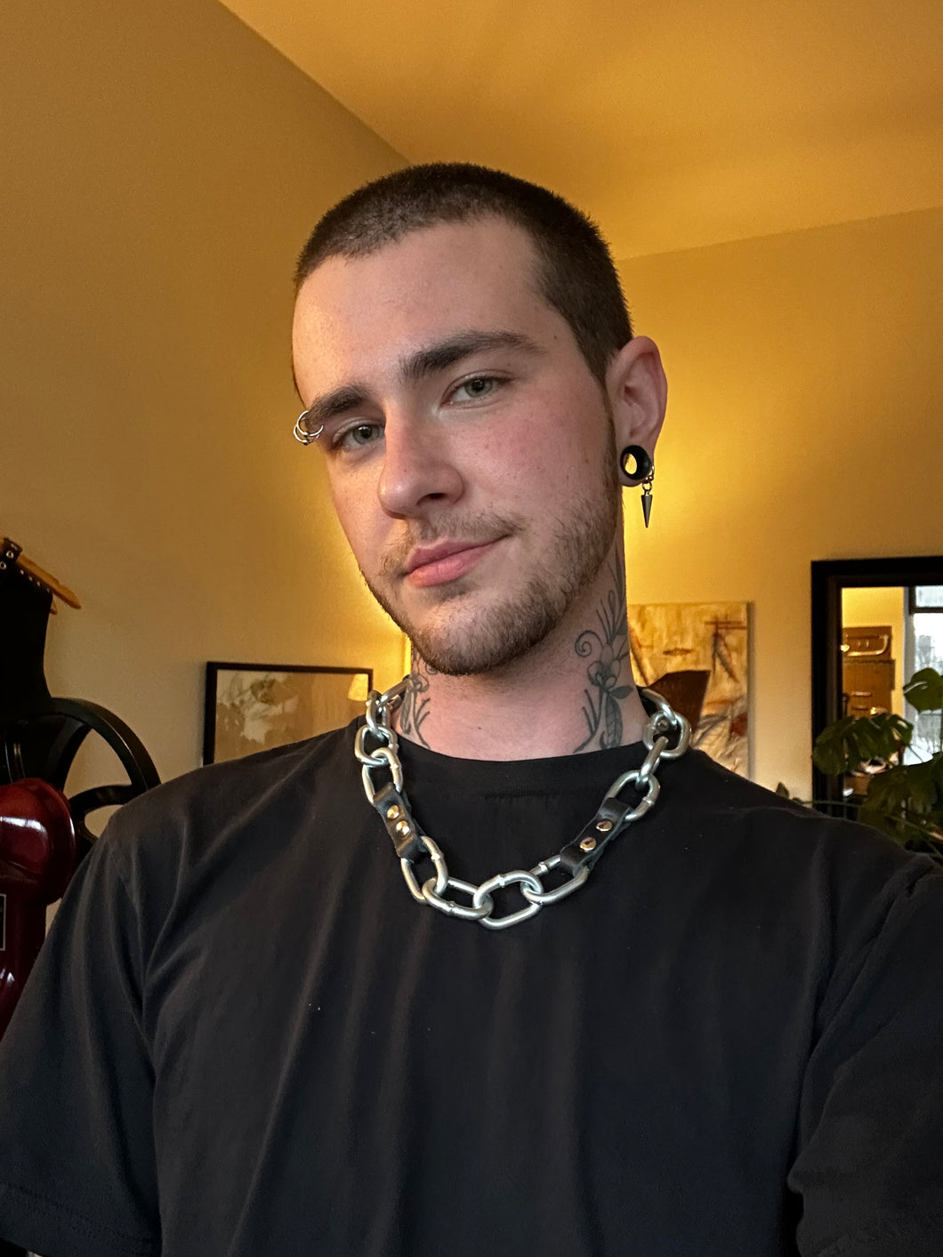 locked chain collar